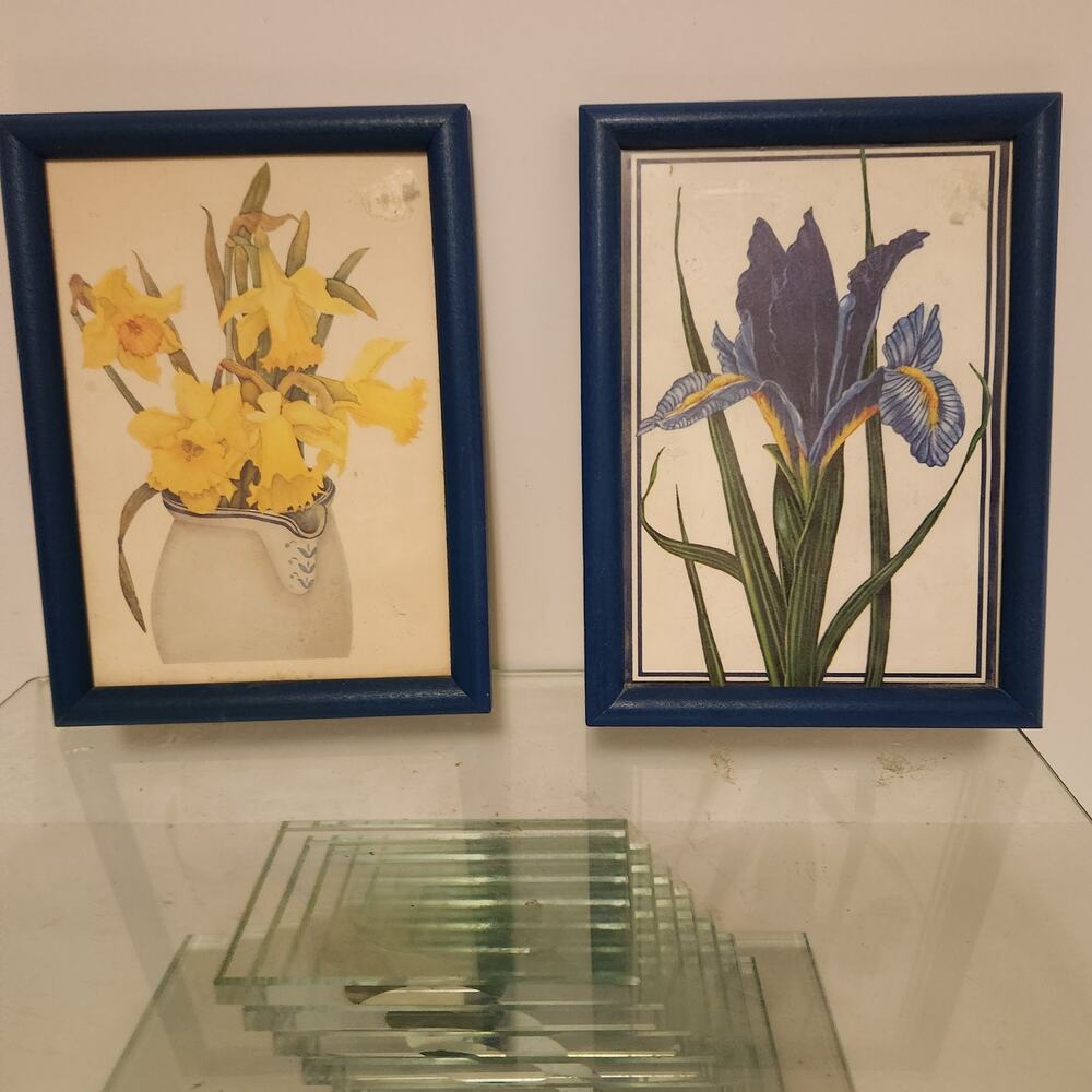 Vintage Botanical set of 2 5x7 pictures Iris and daffodil
